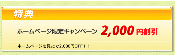 ���T�P�D�z�[���y�[�W����L�����y�[�� 2,000����